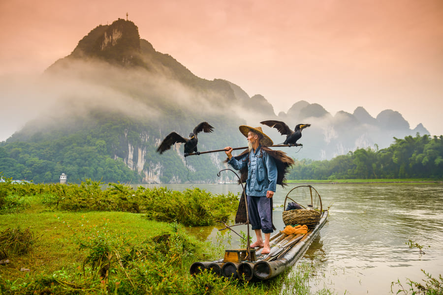 pescador de yangshuo cormoran